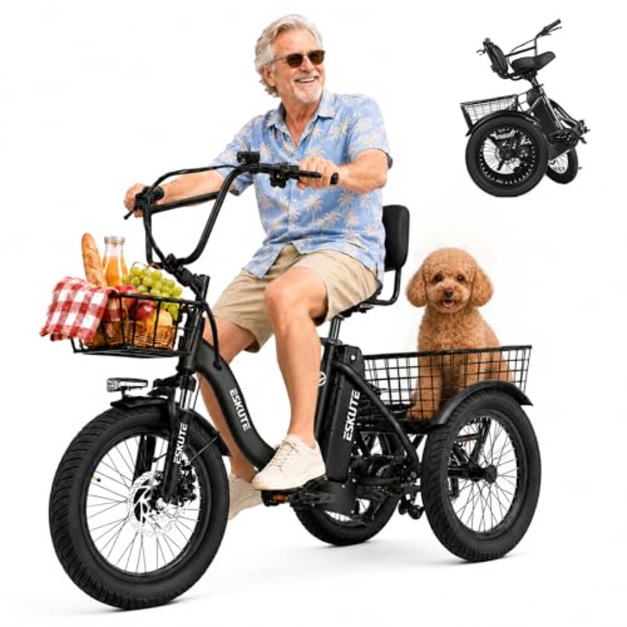 Adults electric trike bike for - Commuter Biking ulasan dan harga