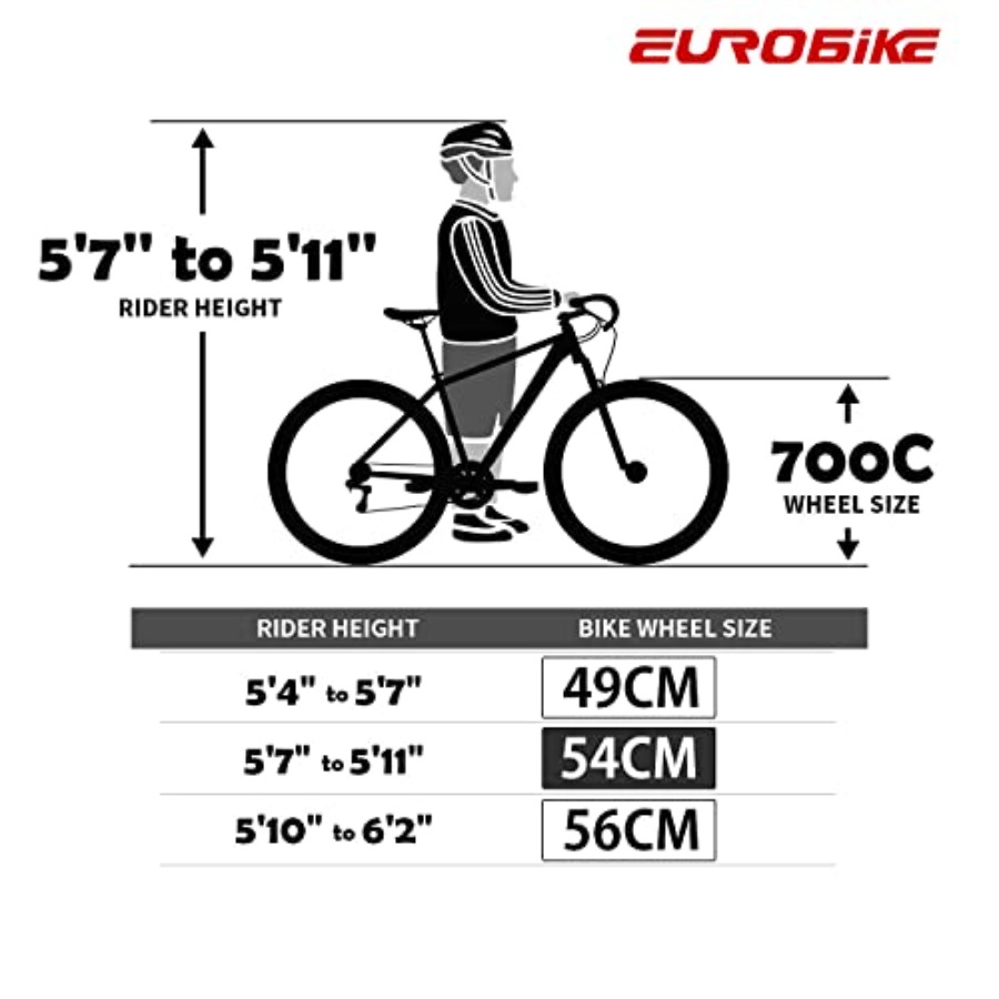 Road bike for urban commuting  - Commuter Biking ulasan dan harga